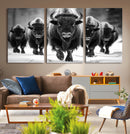 American Bison Art | Buffalo Herd Wall Art Canvas Print, BW