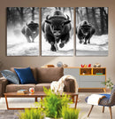 Buffalo Wall Art Canvas Print, Bison Family Wall Art Canvas by MyGreatCanvas | Canvas Wall Art Prints | Photo Prints & Wall Decor