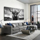 Scottish Cow Wall Art Canvas Print | Longhorn Wall Art |