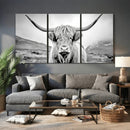 Scottish Cow Wall Art Canvas Print