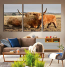 Highland Cow Canvas Wall Art Animal Print for Farm House
