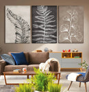 Minimalist Botanical Wall Art Canvas Print, Framed and Ready