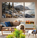 Serene Coastal View of Acadia National Park - Stunning
