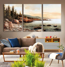 Serene Coastal View of Acadia National Park Wall Art -