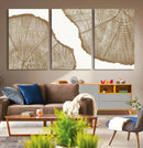 Rustic Brown Tree Ring Wall Art Canvas Print – Framed and