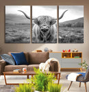 Black White Scottish Highland Cow Canvas Farm Wall Art