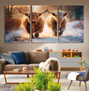 Scottish Highland Cow Horn Farm Wall Art Canvas Print