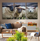 Charming Sheep Portrait Wall Art – Trio of Woolly Companions by MyGreatCanvas | Canvas Wall Art Prints | Photo Prints & Wall Decor