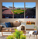 Cincinnati Reds Baseball Canvas Print - American Ball