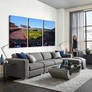 Cincinnati Reds Baseball Canvas Print - American Ball