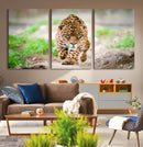 Leopard on the Prowl - Stunning Large Framed Leopard Wall