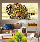 Blue-Eyed Leopard Canvas Wall Art - Framed Animal Print