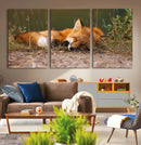 Sleeping Fox Wall Art Canvas Print, Farmhouse Wall Decor and
