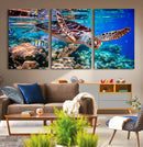 Underwater Coral Reef Sea Turtle Wall Art Canvas Print,