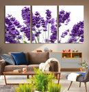 Lavender Flower Wall Art Canvas Print by MyGreatCanvas | Canvas Wall Art Prints | Photo Prints & Wall Decor