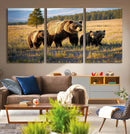 Grizzly Bear Family Wall Art Canvas Print – Majestic