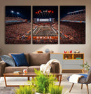 Texas Stadium Night Game Wall Art Canvas Print – Vibrant