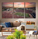 Indiana Memorial Stadium Wall Art Canvas Print, Framed