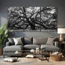 Black and White Old Angel Oak Tree Wall Art Canvas Print