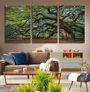 Historic Tree Wall Art – Framed Mossy Branch Canvas Artwork, by MyGreatCanvas | Canvas Wall Art Prints | Photo Prints & Wall Decor
