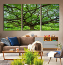 Ancient Tree Wall Art Canvas Print, Framed Sprawling by MyGreatCanvas | Canvas Wall Art Prints | Photo Prints & Wall Decor