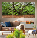 Majestic Oak Tree Wall Art Canvas Print – Ancient Branches by MyGreatCanvas | Canvas Wall Art Prints | Photo Prints & Wall Decor