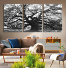 Ancient Oak Wall Art Canvas Print, Majestic Twisted Branches by MyGreatCanvas | Canvas Wall Art Prints | Photo Prints & Wall Decor