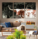 Texas Longhorn Wall Art Canvas Print – Framed Spotted Bull