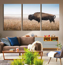 Wild Bison Wall Art – Framed Prairie Landscape Canvas by MyGreatCanvas | Canvas Wall Art Prints | Photo Prints & Wall Decor