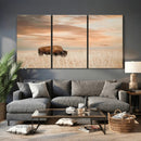 MyCanvas -