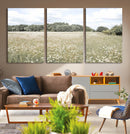 Charming Daisy Field Wall Art Canvas Print – Framed Pastel