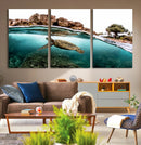 Sea Turtle Wall Art Canvas Print – Framed Ocean Life