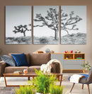 Joshua Tree Wall Art Canvas Print – Framed Black White