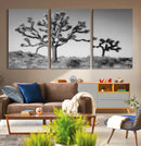Joshua Tree Wall Art Canvas Print – Framed Monochrome Desert