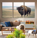 Bison Wall Art Canvas Print – Framed Buffalo American Bison
