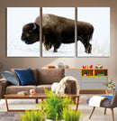 Bison Wall Art Canvas Print – Framed Western Wildlife