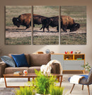 Bison Wall Art Canvas Print – Framed Western Wildlife Modern by MyGreatCanvas | Canvas Wall Art Prints | Photo Prints & Wall Decor