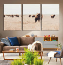 Bison Herd Wall Art Canvas Print – Framed Western Prairie