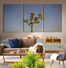 Joshua Tree Wall Art Canvas Print – Framed Southwestern