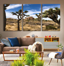 Joshua Tree Desert Wall Art Canvas Print – Framed