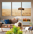 Buffalo Wall Art Canvas Print – Framed Western Wildlife