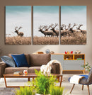Elk Herd Wall Art Canvas Print – Framed Wildlife Photography