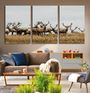 Elk Herd Wall Art Canvas Print – Framed Wildlife Photography by MyGreatCanvas | Canvas Wall Art Prints | Photo Prints & Wall Decor