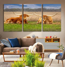 Texas Longhorn Pair Wall Art Canvas Print – Peaceful Rustic by MyGreatCanvas | Canvas Wall Art Prints | Photo Prints & Wall Decor