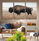 American Bison Wall Art Canvas Print – Majestic Buffalo