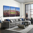 William Brice Stadium Wall Art Canvas Print – Stadium Crowd