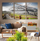 Sakura Cherry Blossom Pathway Canvas Wall Art – Tranquil by MyGreatCanvas | Canvas Wall Art Prints | Photo Prints & Wall Decor