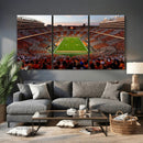 Tennessee Neyland Stadium Wall Art, Sports Arena Canvas by MyGreatCanvas | Canvas Wall Art Prints | Photo Prints & Wall Decor