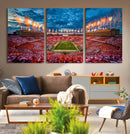 Tennessee Neyland Stadium Wall Art, Sports Arena Canvas by MyGreatCanvas | Canvas Wall Art Prints | Photo Prints & Wall Decor