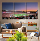 Dooley Stadium Wall Art, Sports Arena Canvas Print, Dooley by MyGreatCanvas | Canvas Wall Art Prints | Photo Prints & Wall Decor